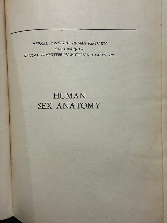 Human Sex Anatomy