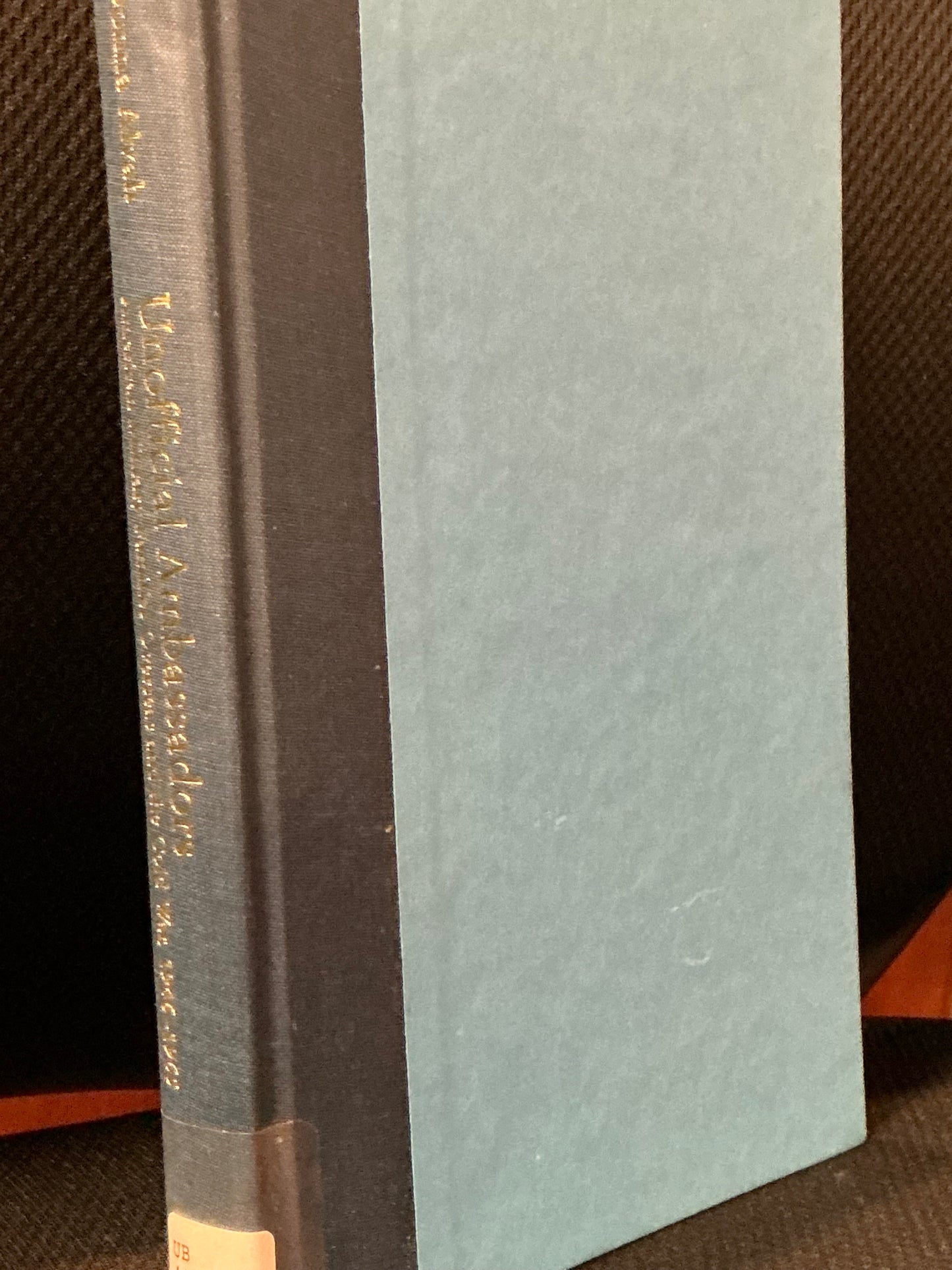 Unofficial Ambassadors by Donna Alvah