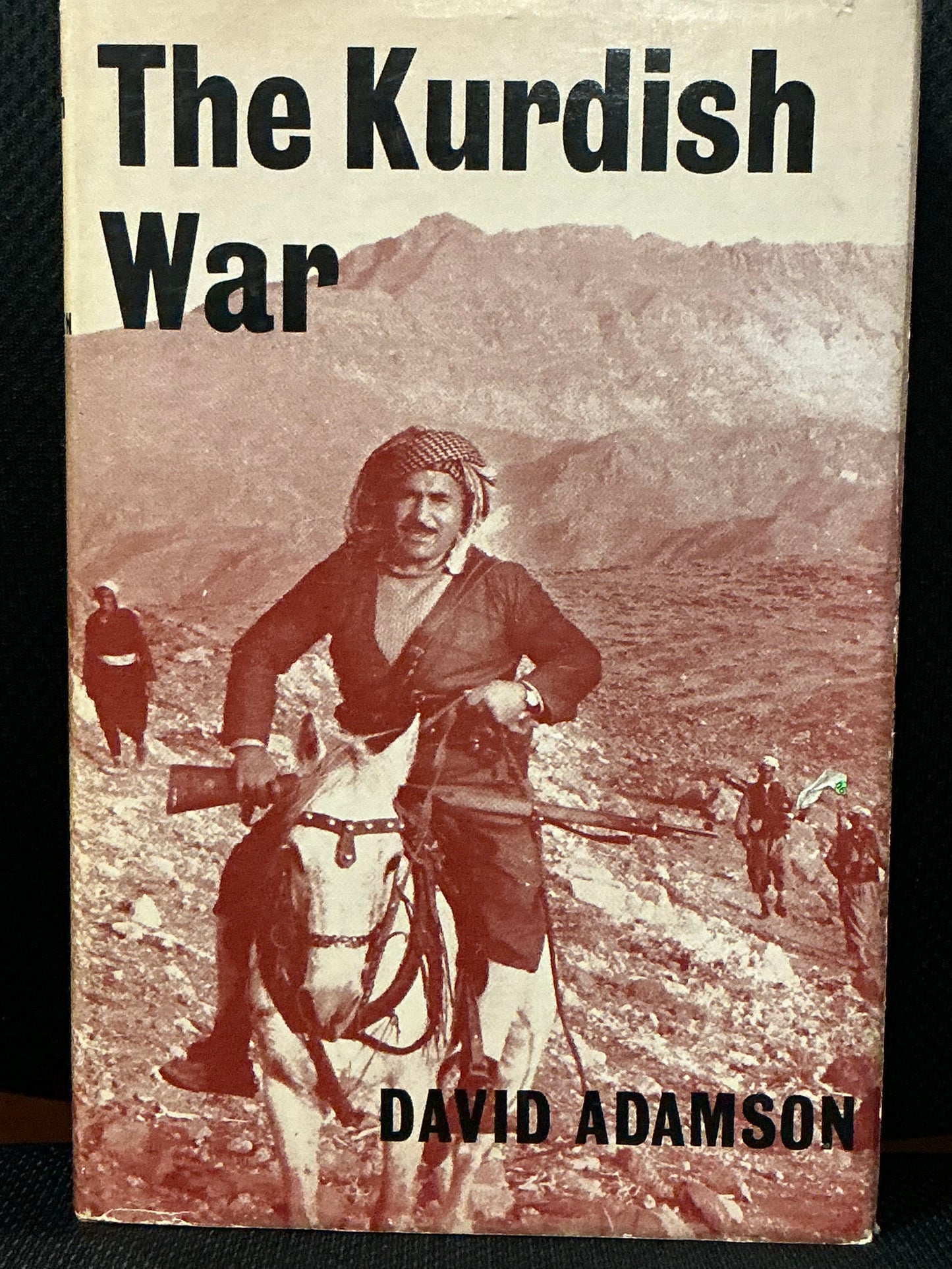 The Kurdish War by David Adamson
