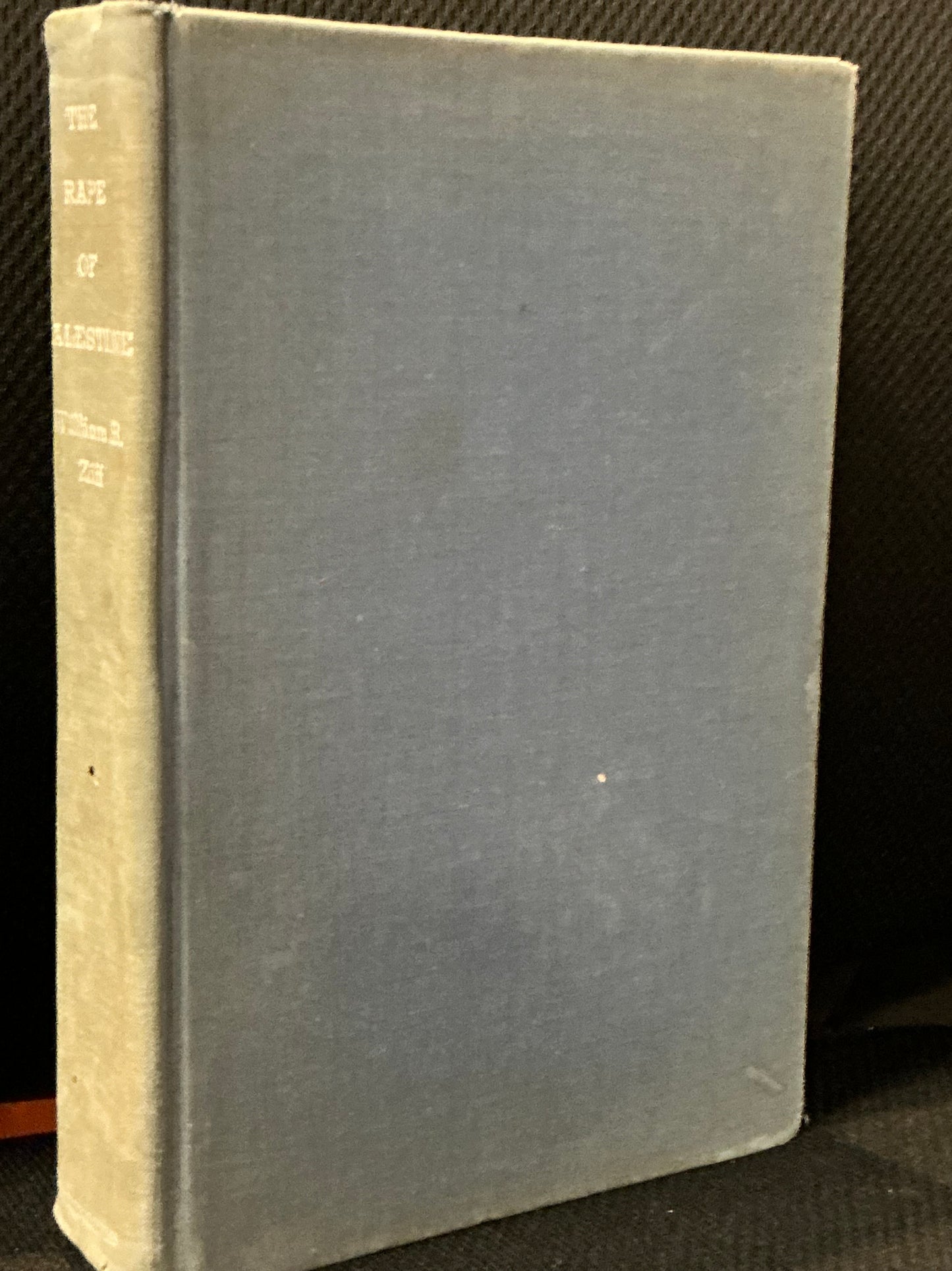 The Rape of Palestine by William Zill