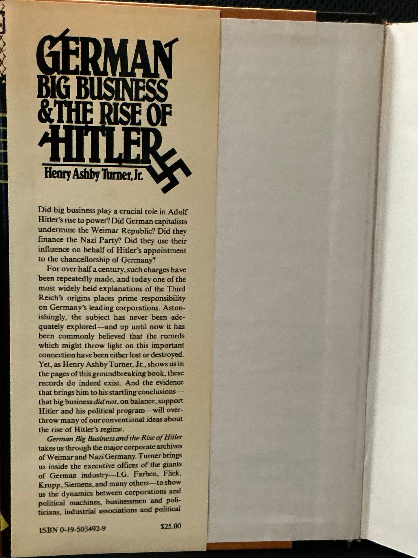 German Big Business and the Rise of Hitler by Henry Turner