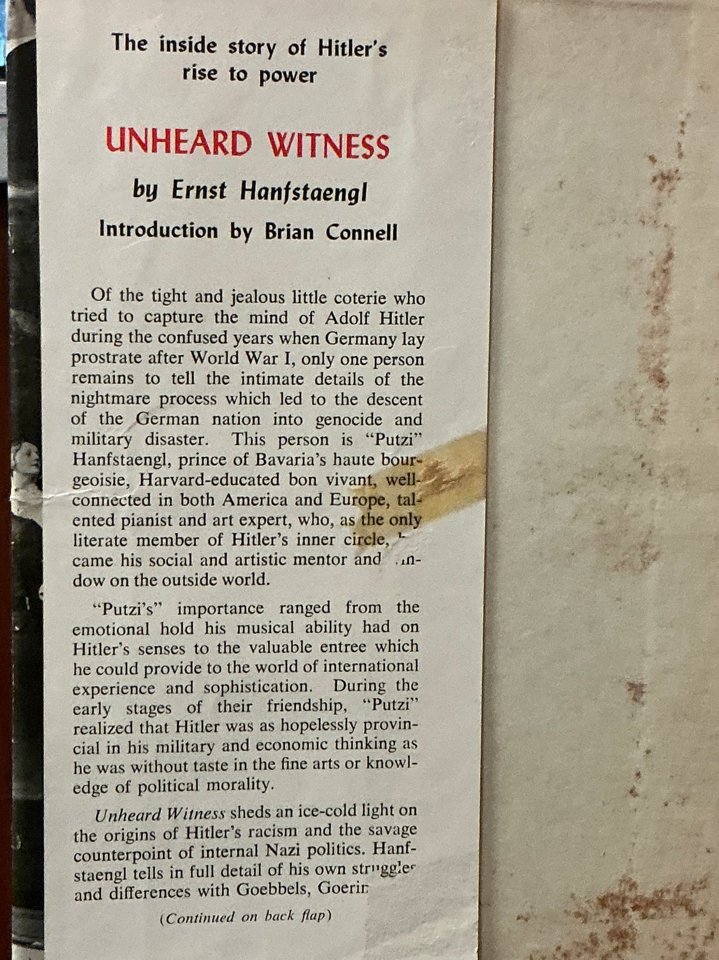 Unheard Witness by Ernst Hanfstaengl