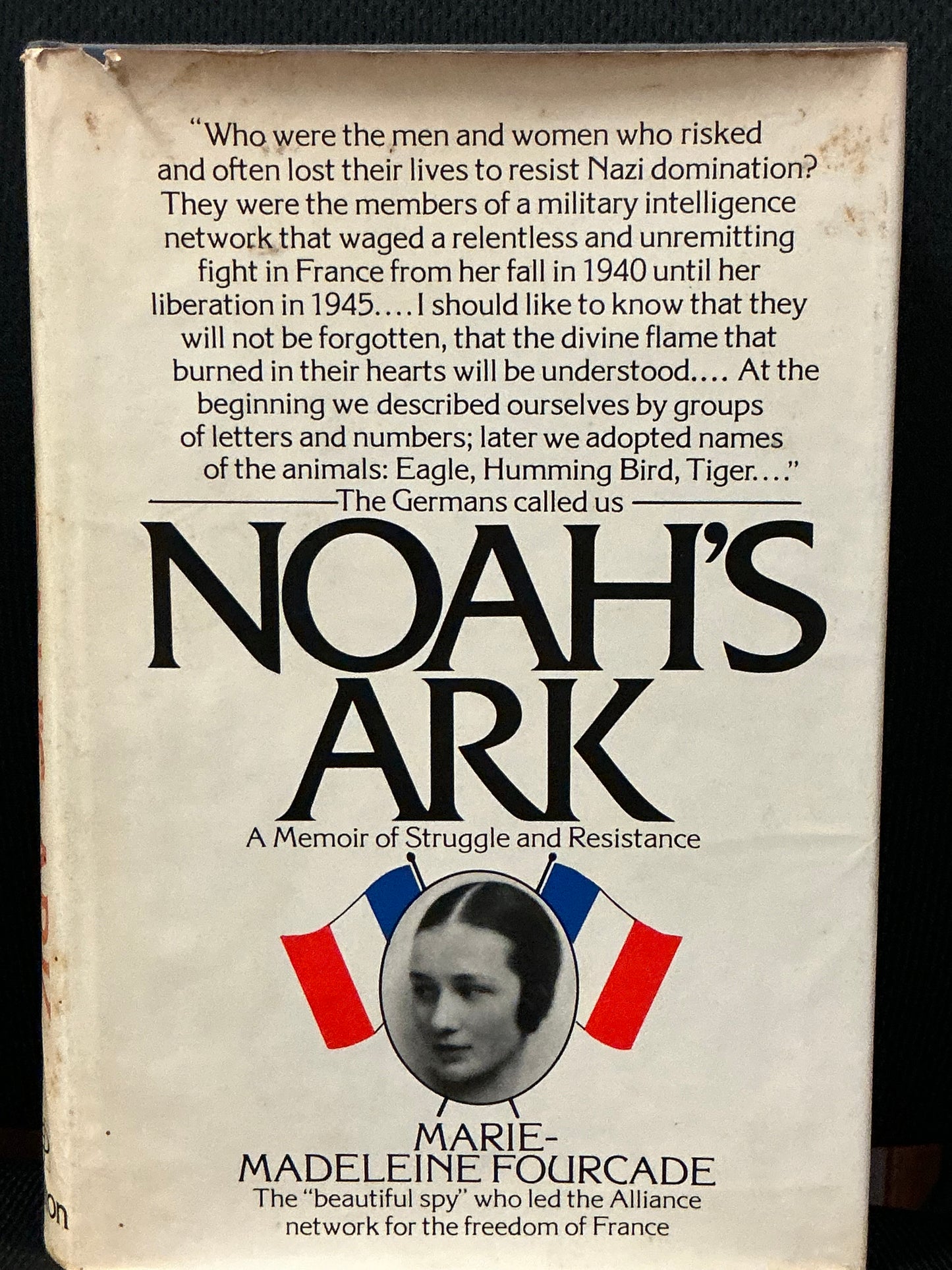 Noah's Ark by Marie-Madeleine Fourcade