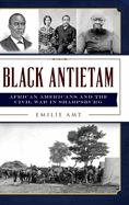 Black Antietam by Emilie Amt